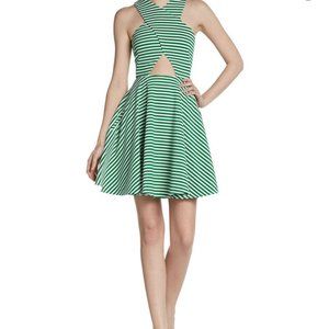 Torn by Ronny Kobo Green & White Striped Dress